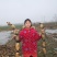 莲藕基地自产莲藕…巨无霸南斯拉夫莲藕，精品莲藕