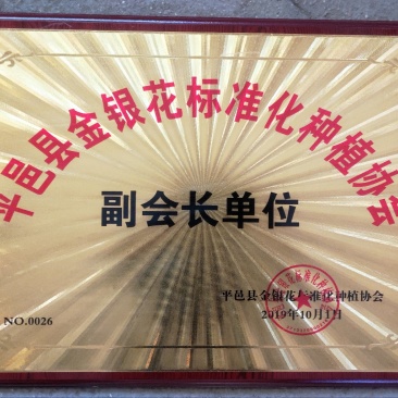 懒汉花金银花种苗，保纯度，包技术，包回收
