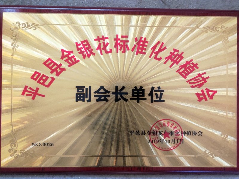 懒汉花金银花种苗，保纯度，包技术，包回收