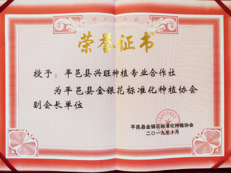 懒汉花金银花种苗，保纯度，包技术，包回收