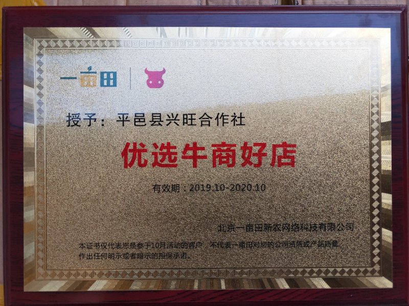 懒汉花金银花种苗，保纯度，包技术，包回收
