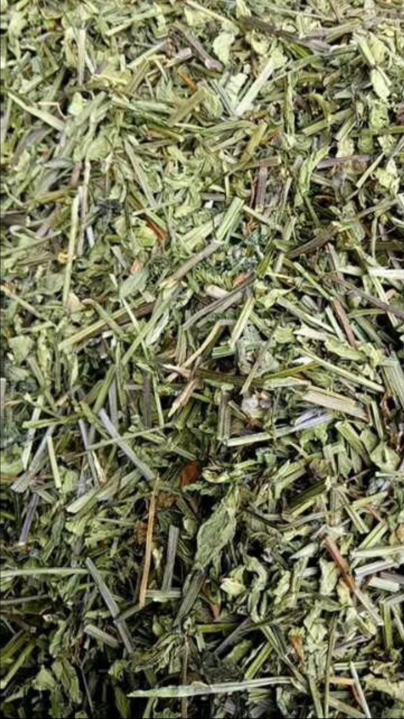 半枝莲【包邮】三斤起发货可批量可零售量大从优