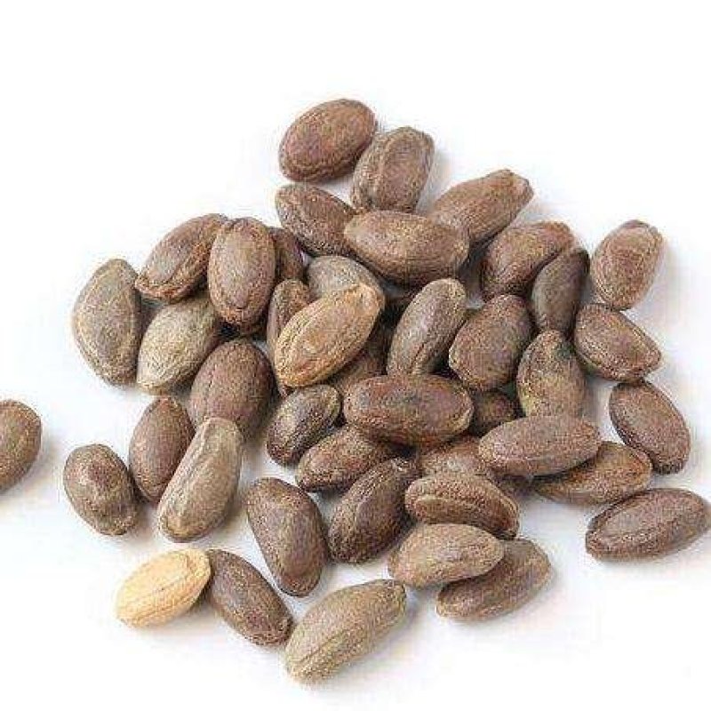 瓜蒌子瓜蒌仁栝楼仁瓜萎仁瓜蒌子干货