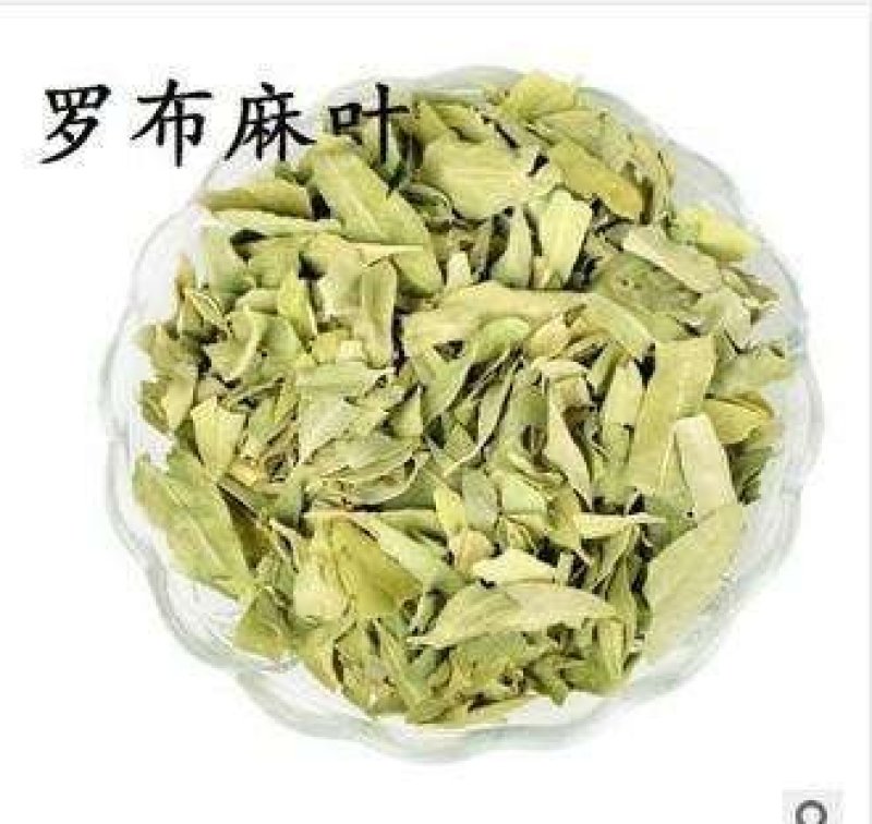 常年批发代购无硫罗布麻叶