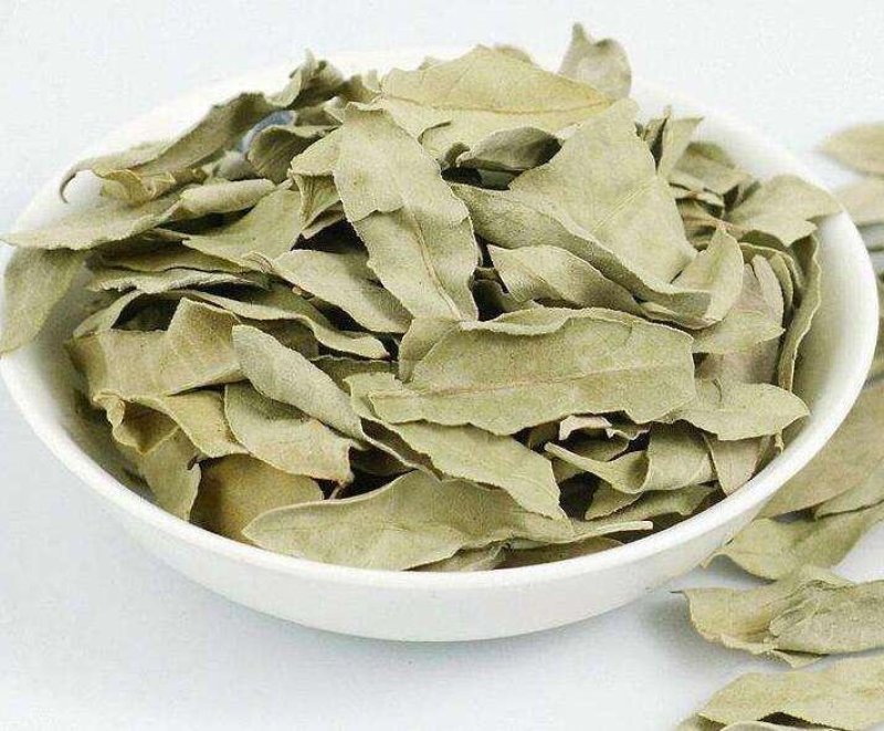 常年批发代购无硫罗布麻叶