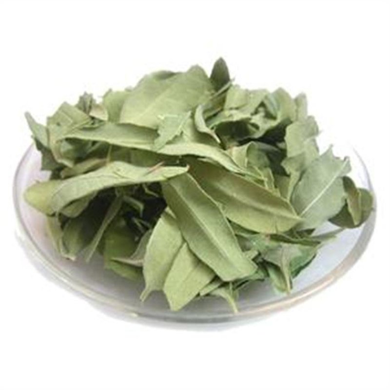 常年批发代购无硫罗布麻叶
