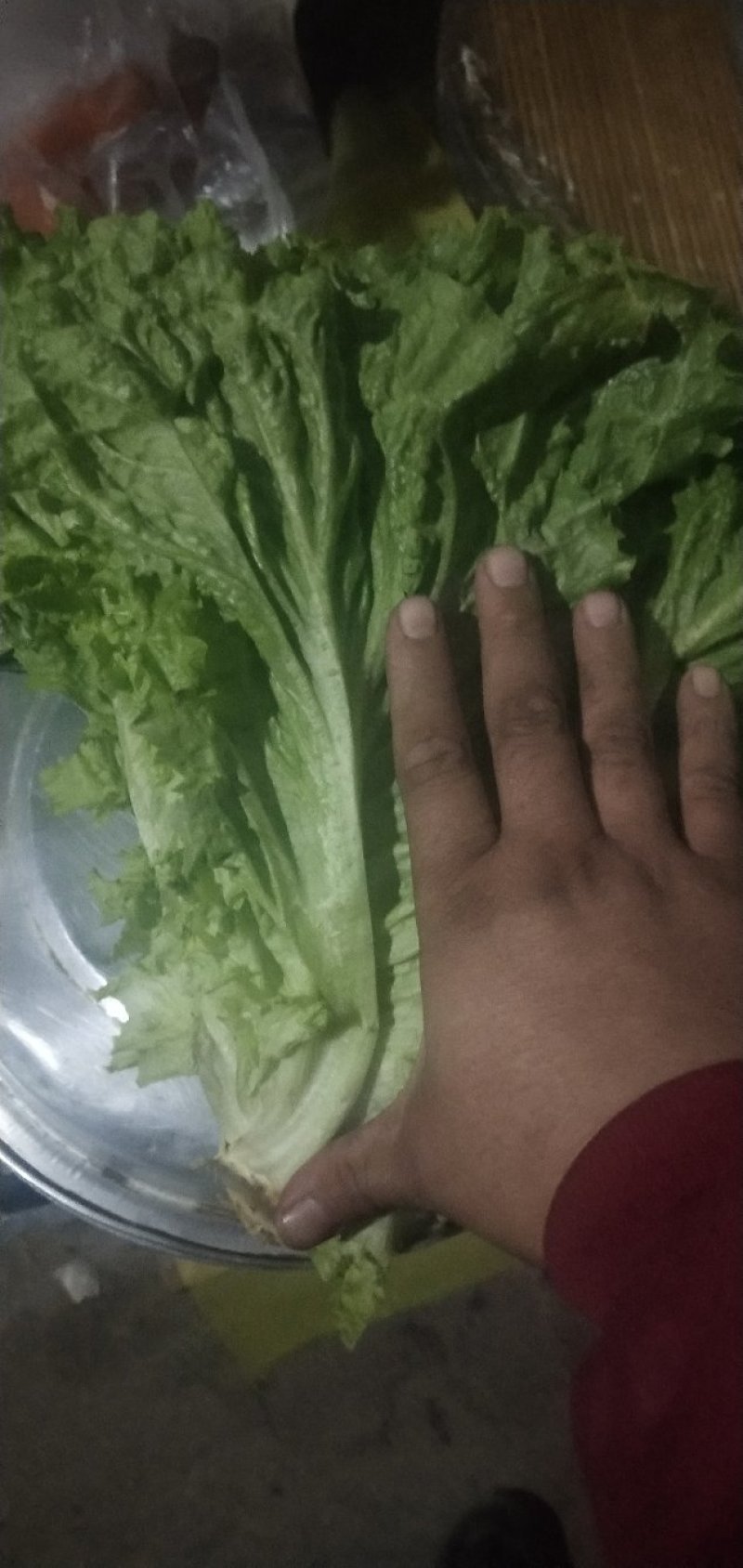 生菜