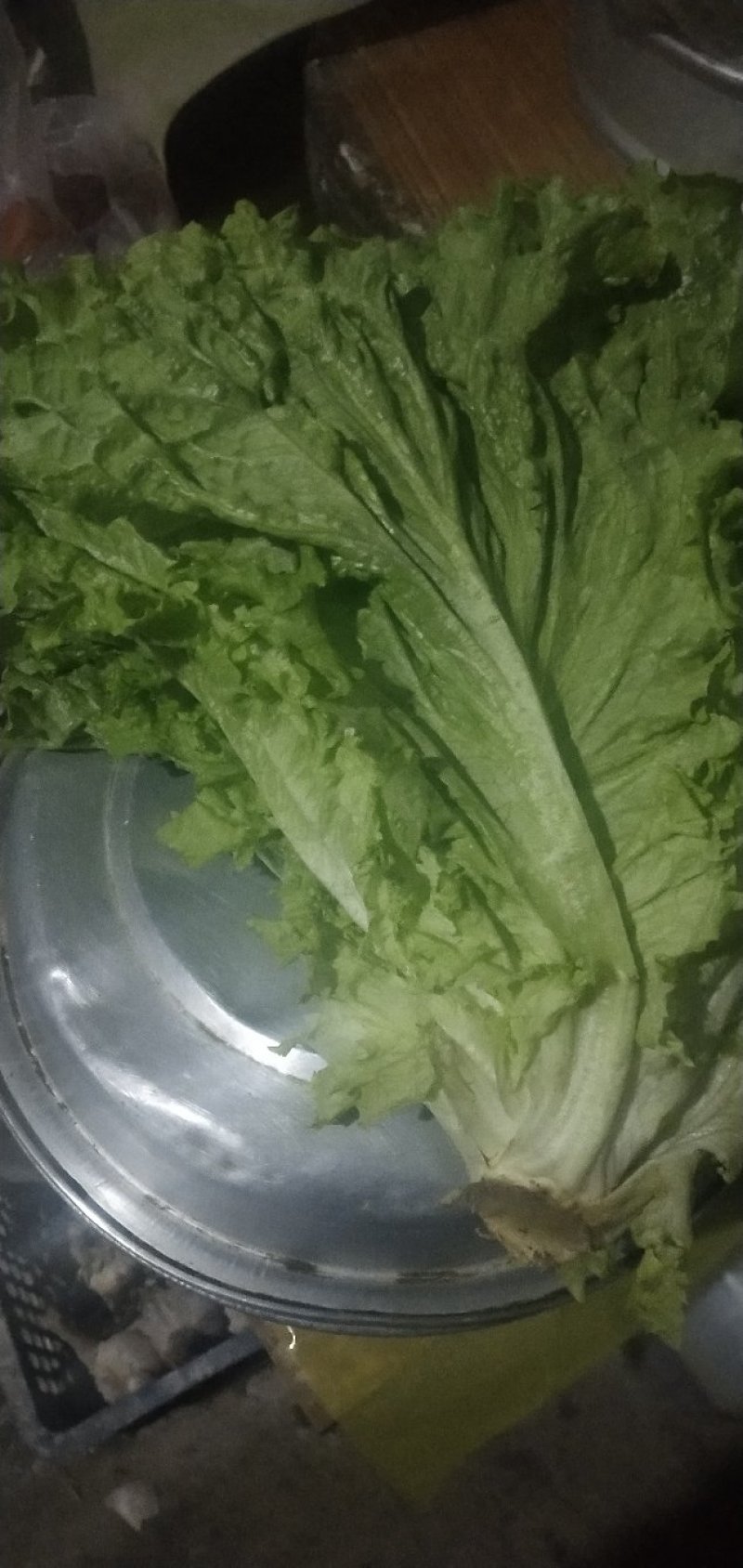 生菜
