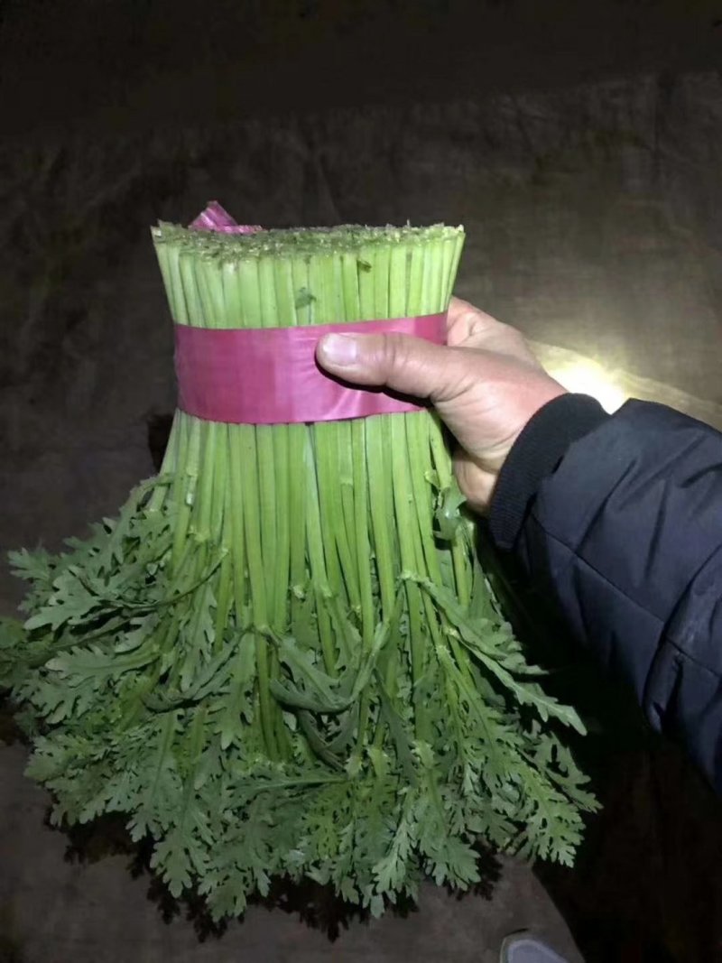 油菜大量上市，物美价廉，质量好需要联系