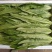 油菜大量上市，物美价廉，质量好需要联系