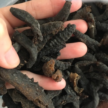 特价螺纹海参淡干通货