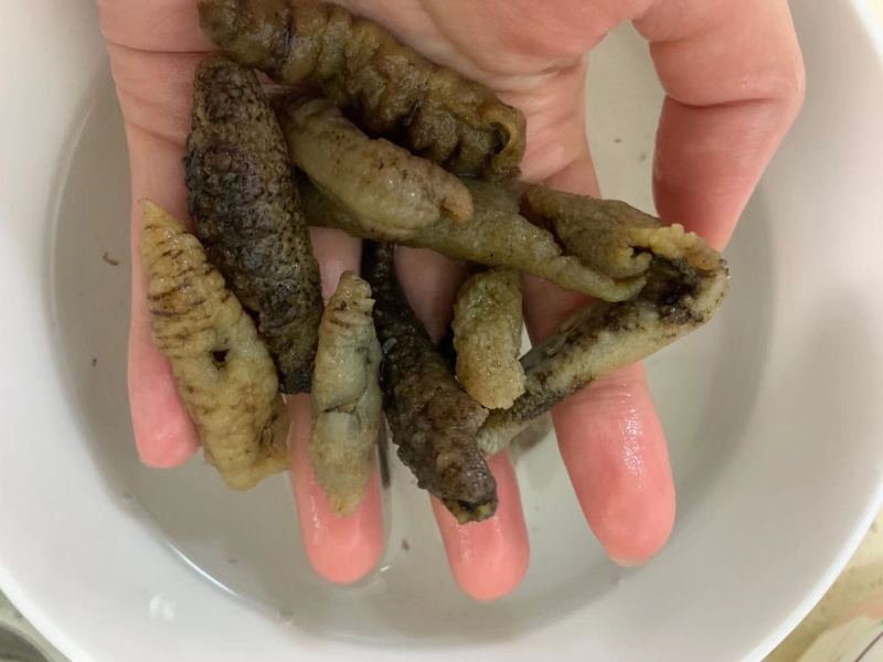 特价螺纹海参淡干通货