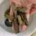特价螺纹海参淡干通货