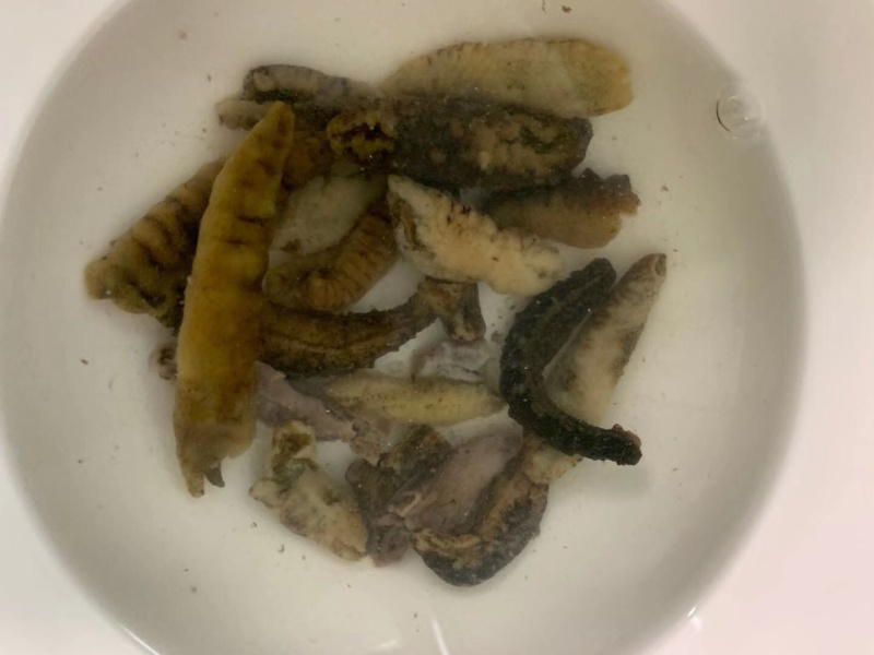 特价螺纹海参淡干通货