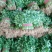 叶菜，各种蔬菜，量大，品质好，常年供应，量大服务好，