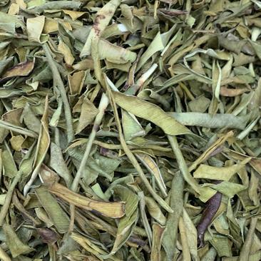 芦荟茶，批发各种花茶，保健茶