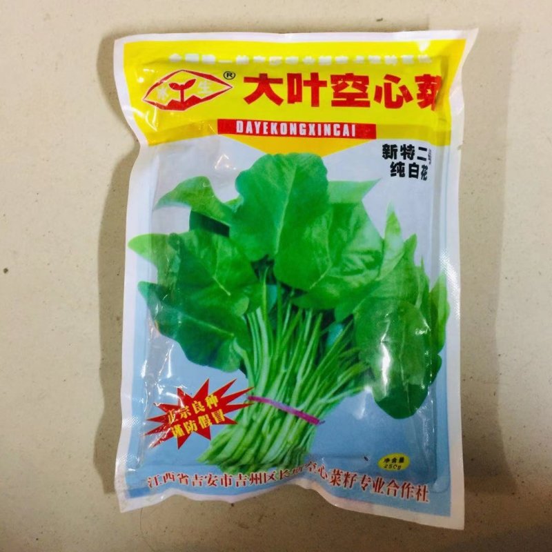 空心菜种子，台湾竹叶空心菜种子，大叶空心菜