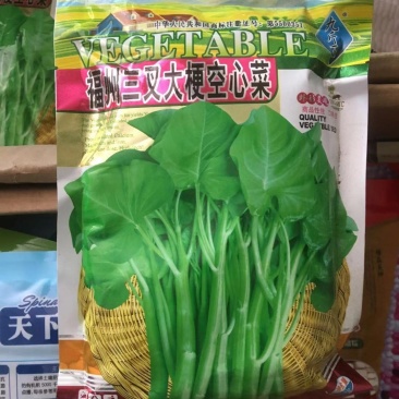 空心菜种子，台湾竹叶空心菜种子，大叶空心菜
