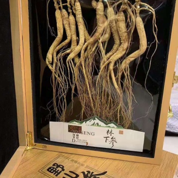 竹盒林下参礼盒送礼佳品高大上有面子