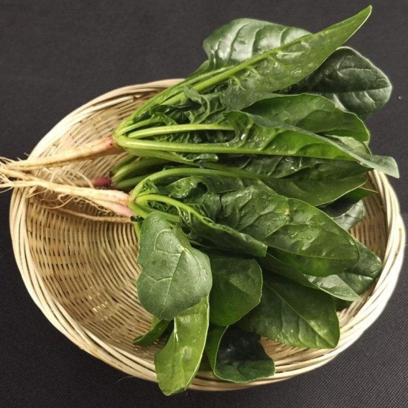 优质大叶菠菜29-25公分，代办服务让您简单又快捷