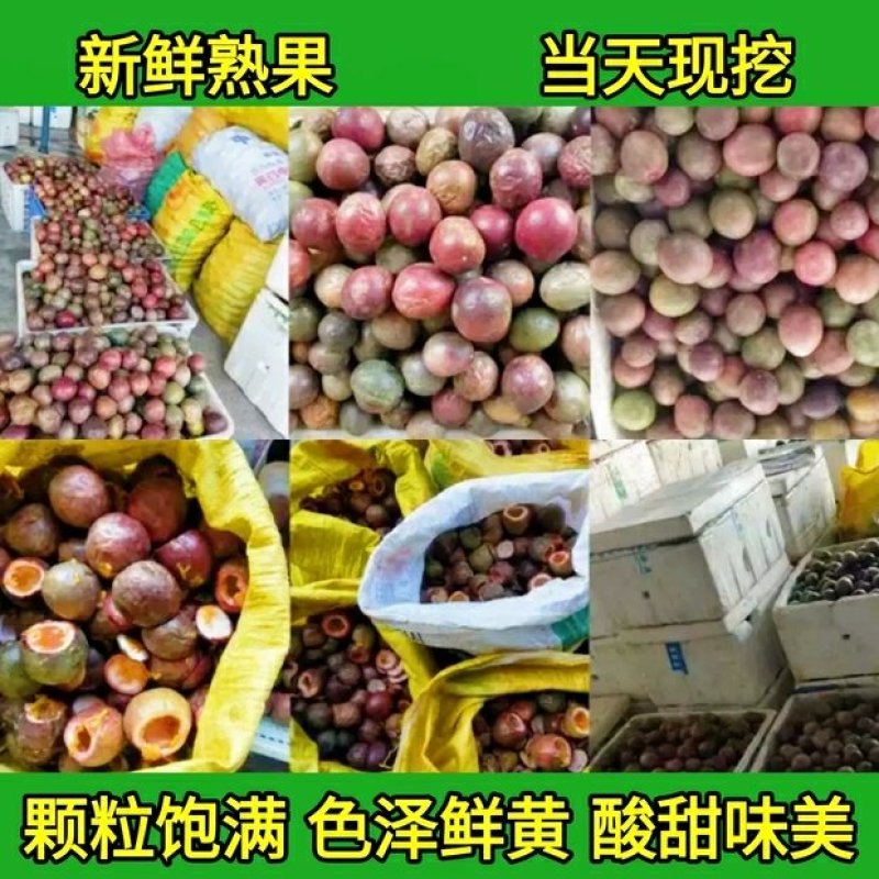福建新鲜百香果酱百香果肉果酱冷冻百香果汁原浆西番莲10斤