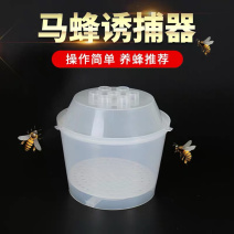 马蜂诱捕器