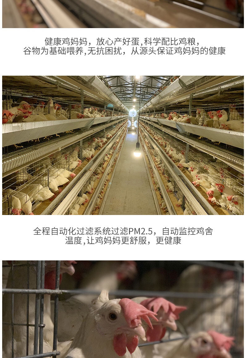 富硒鸡蛋
