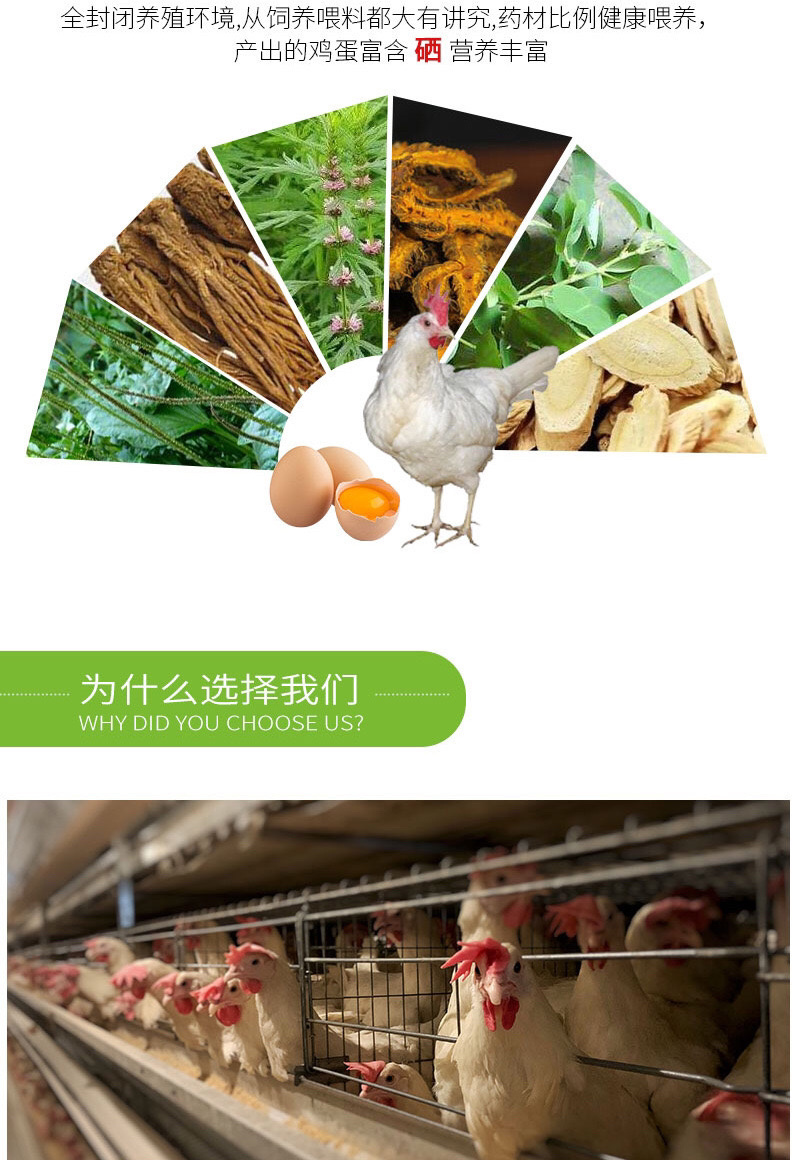 富硒鸡蛋