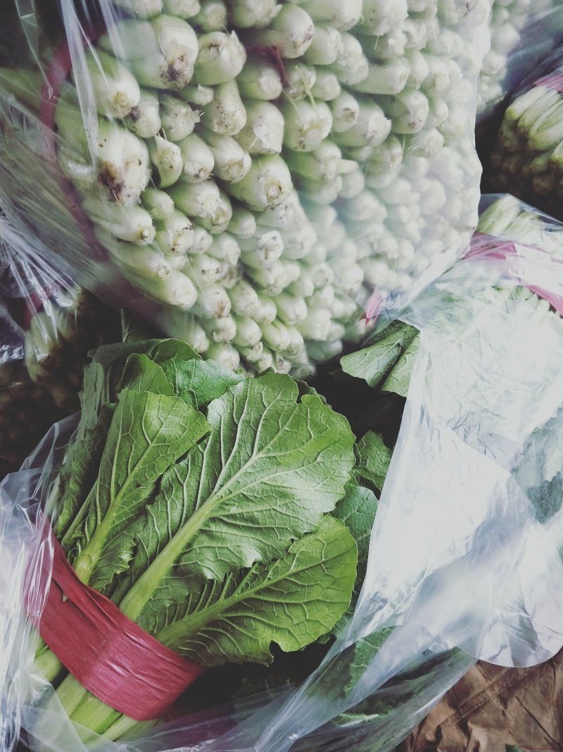 精品小白菜，无黄边，无虫眼，商超**，