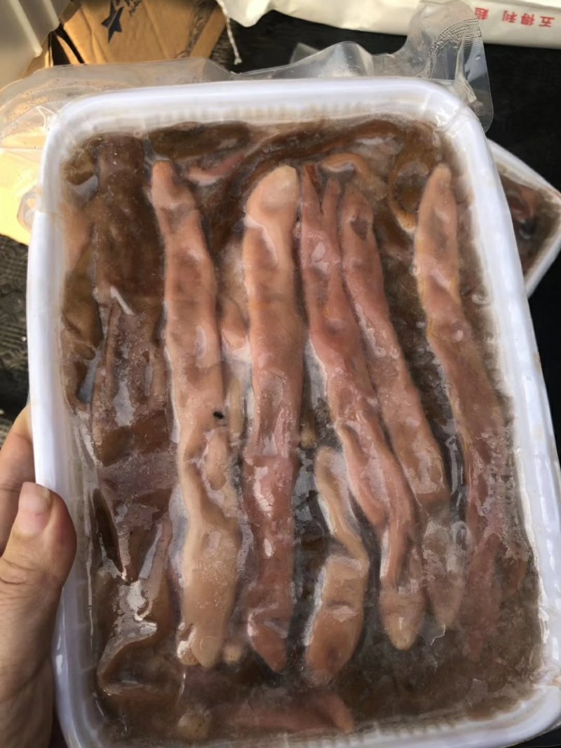 海兔，，东西多，，，，，，