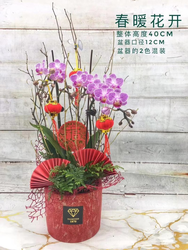 年宵花系列：春暖花开，68元/盆，12盆/件，盆器2色混