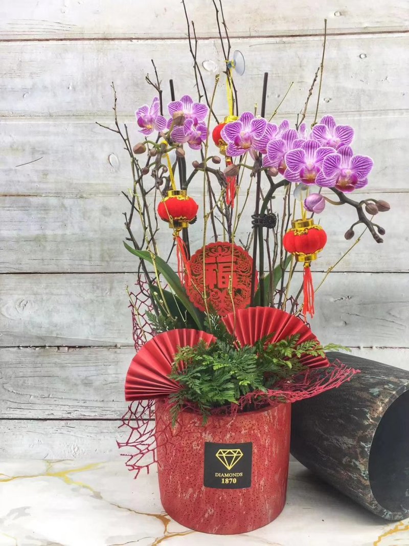 年宵花系列：春暖花开，68元/盆，12盆/件，盆器2色混