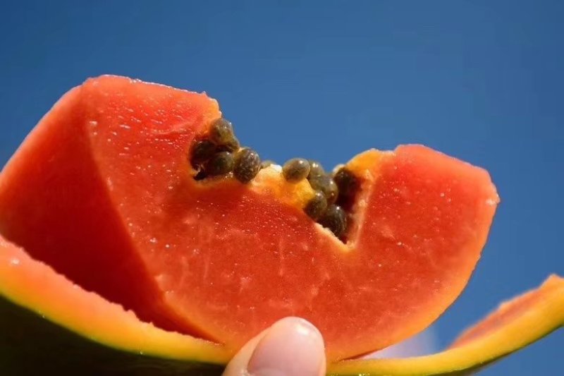 【包邮】云南红心牛奶木瓜新鲜热带水果木瓜
