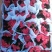 海棠20盆/箱15元