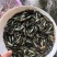 锦鲤鱼苗日本锦鲤，昭和红白三色，品质漂亮，欢迎订购