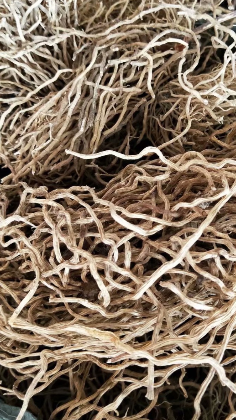 牛尾菜【包邮】三斤起发货可批量可零售量大从优