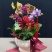 年宵花蝴蝶兰：贝壳（6支花）装箱：3盆/件，168块/