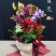 年宵花蝴蝶兰：贝壳（6支花）装箱：3盆/件，168块/