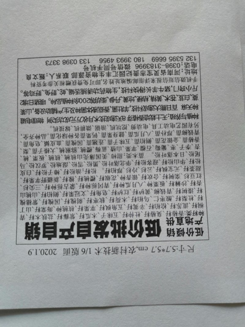 香椿种子产地直销现货批发产地货源芽率强劲支持免费领取样品