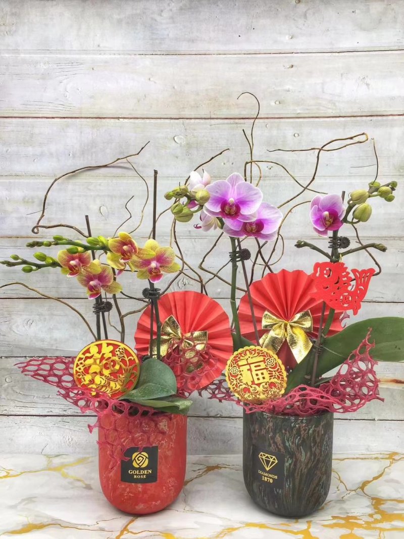 年宵花系列：蕙质兰心，70元/盆，9盆/件