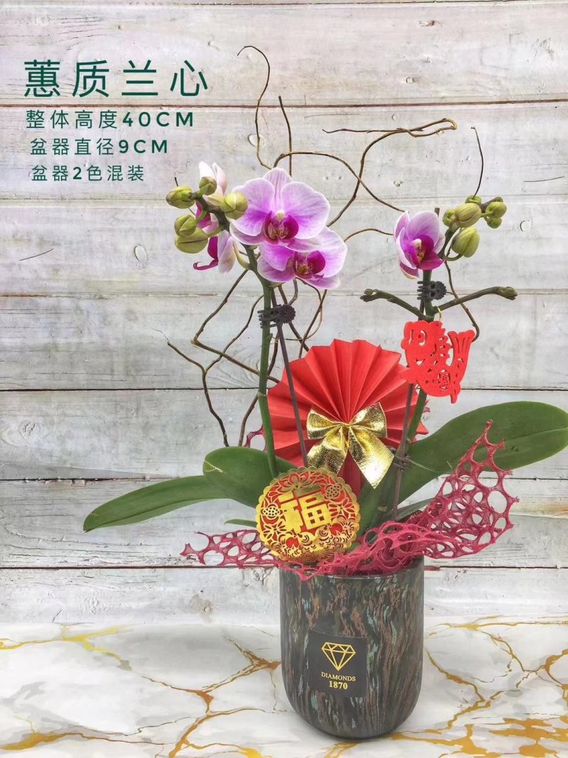年宵花系列：蕙质兰心，70元/盆，9盆/件