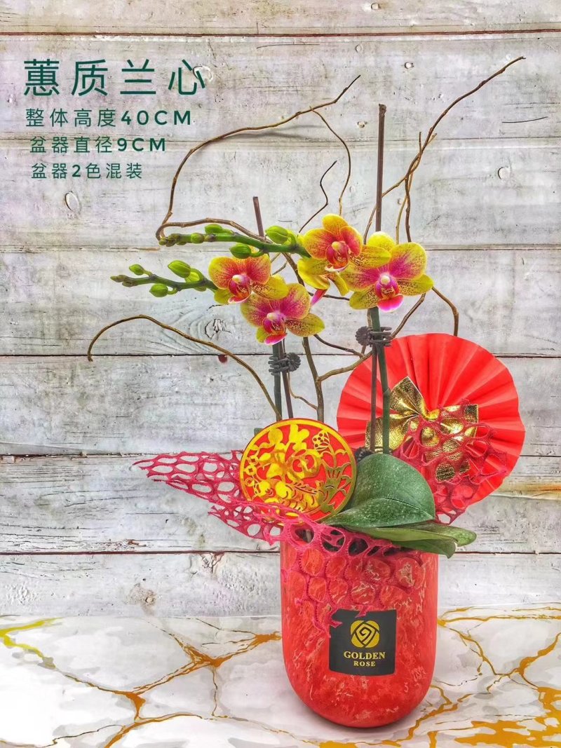 年宵花系列：蕙质兰心，70元/盆，9盆/件