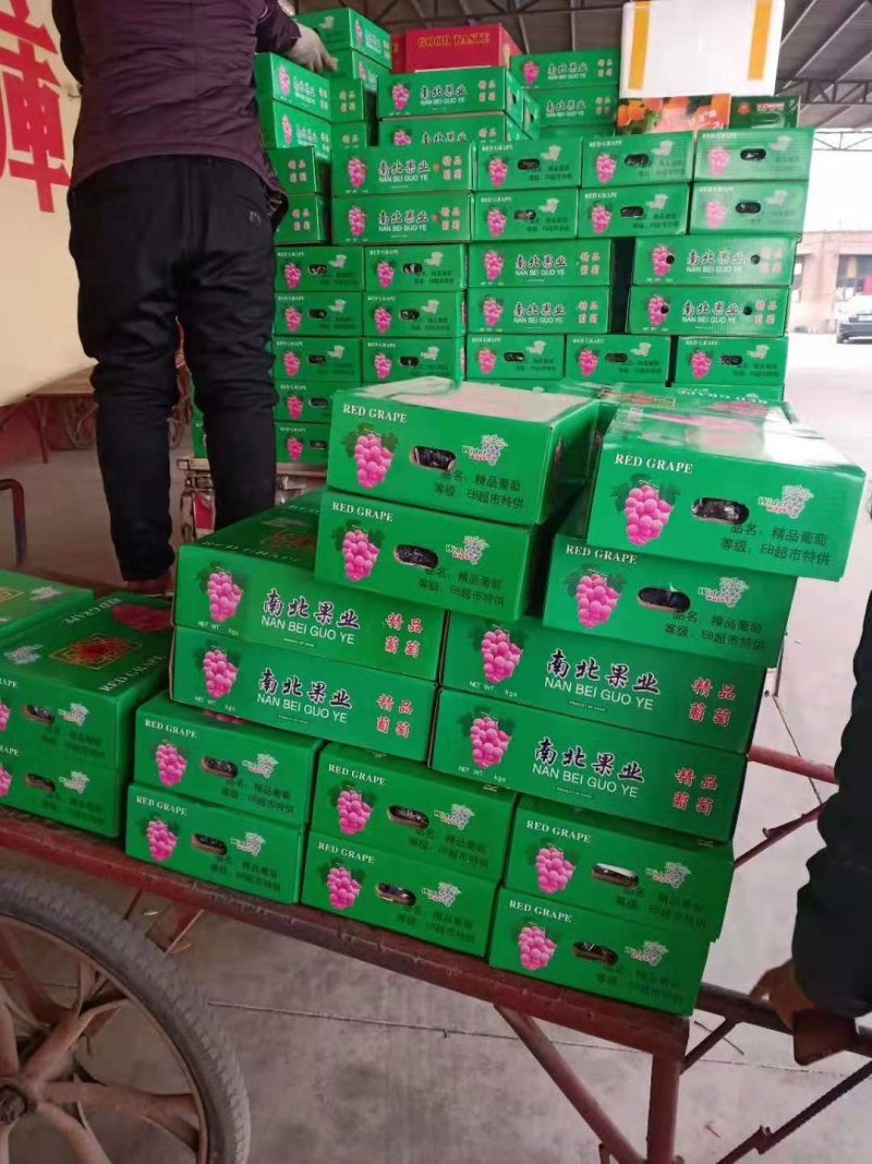 净品巨峰葡萄，粒大，甜，口感清爽，颜色好，产地直销，每天