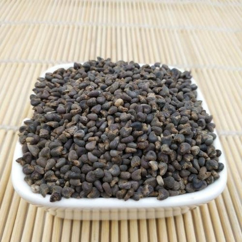 常年批发代购山东天葵子量大从优