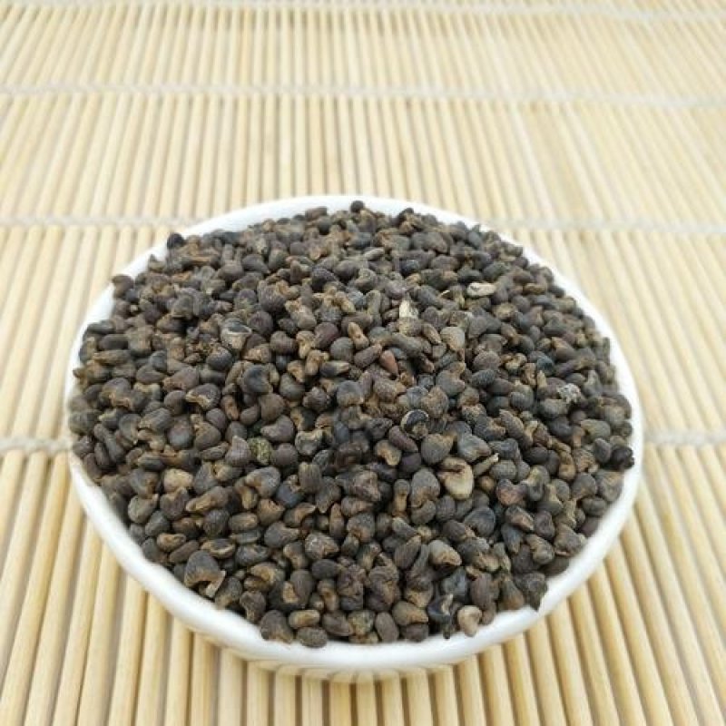 常年批发代购山东天葵子量大从优