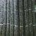 黑皮甘蔗2~2.5米6斤以上大条蔗供应中