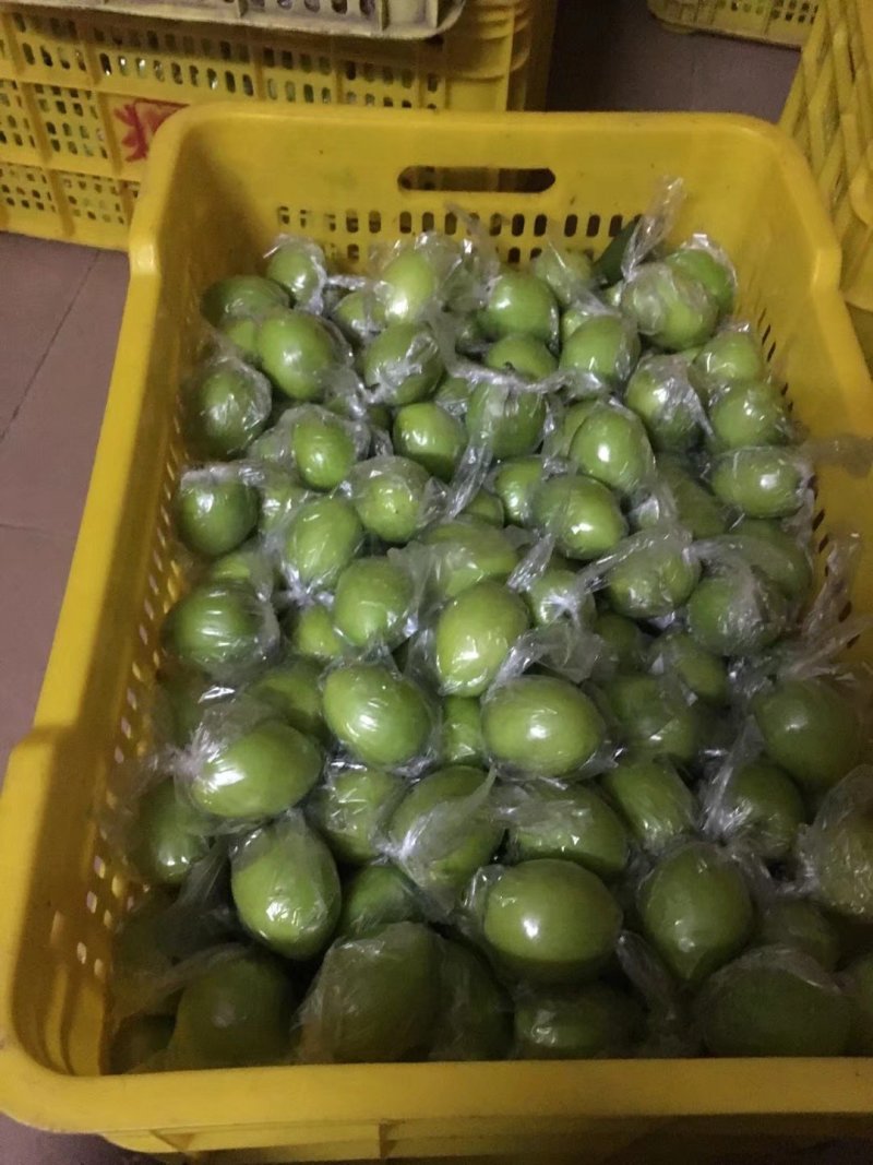 平南蜜丝枣50g以上.