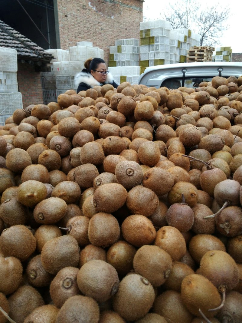 周至基地冷库，货源充足量大从优海沃德