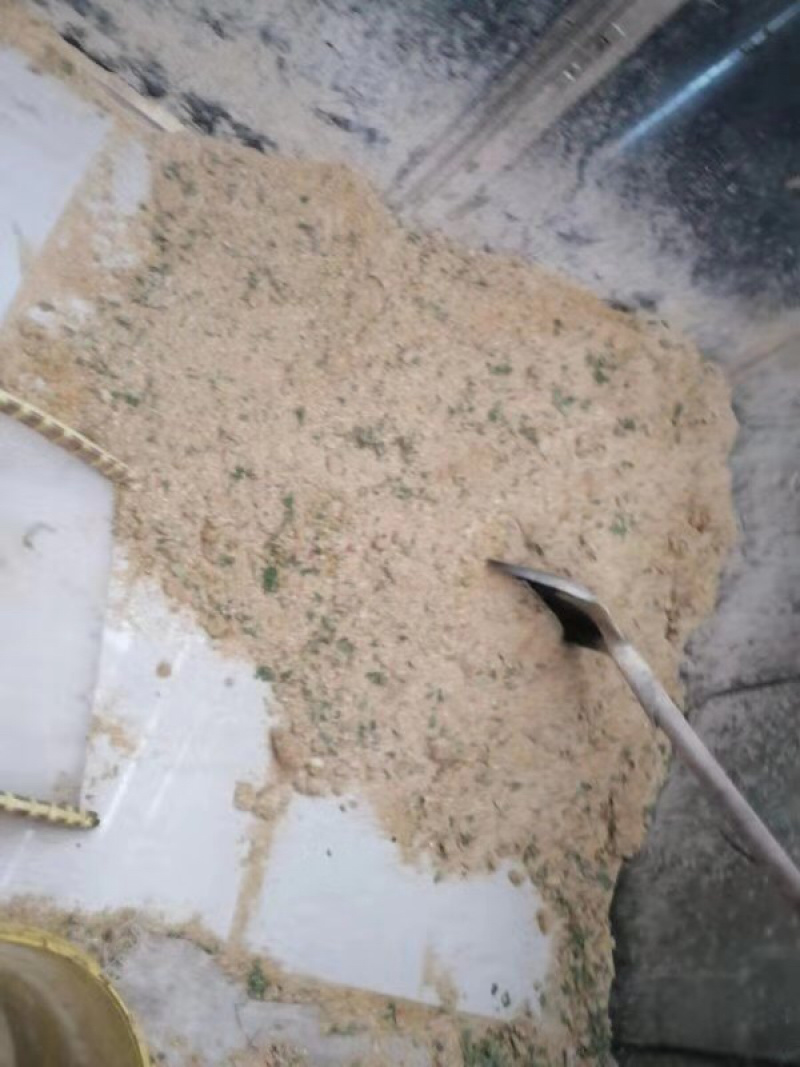鸡