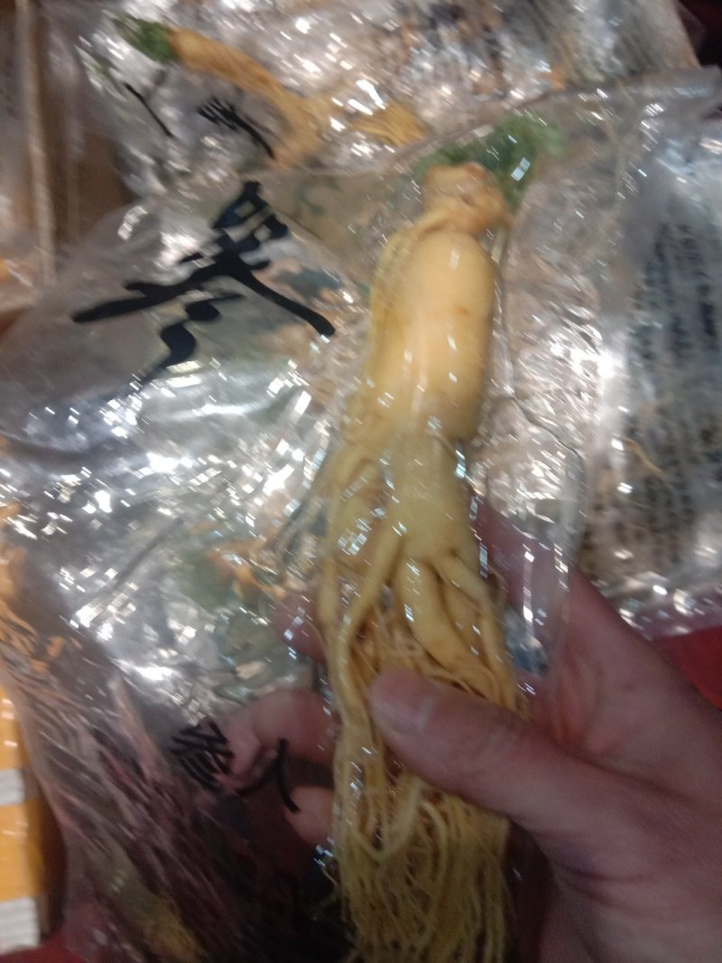 人参，常年批发供应各种规格药食同源中药材鲜人参